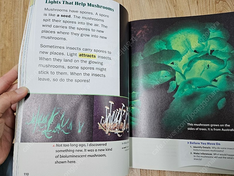 미국교과서 내셔널지오그래픽 리치 REACH B,C단계 이미지