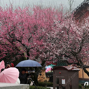 신세계 이마트 5천원 상품권 교환권