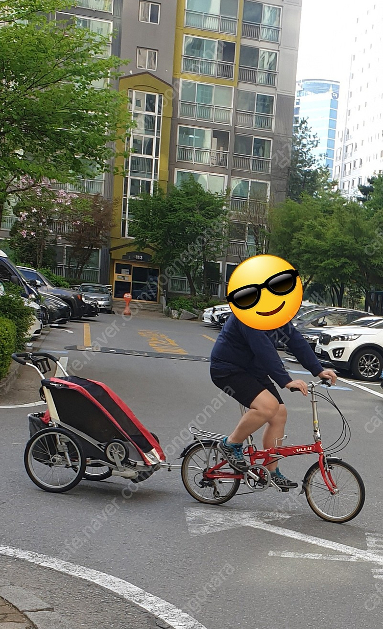 자전거 트레일러 체리엇쿠거1 이미지