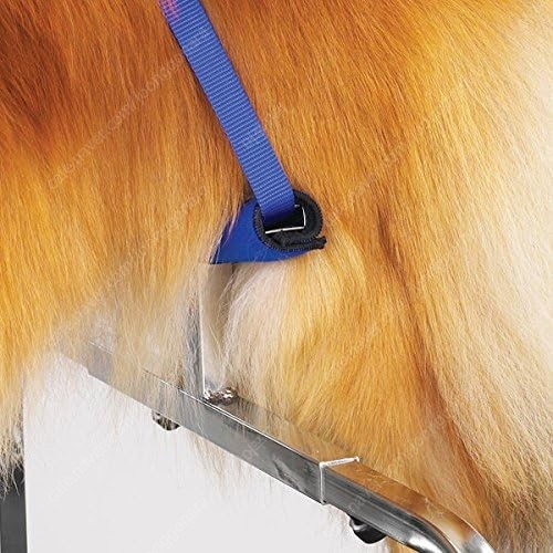 애견미용 전문가용 그루밍 / 미용 서포트 (중.대형견) Master Equipment Adjustable Groom... 이미지