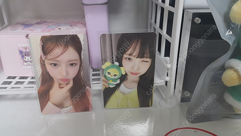 덤드림 당일배송)아이브 미니브 크리스마스 이미지
