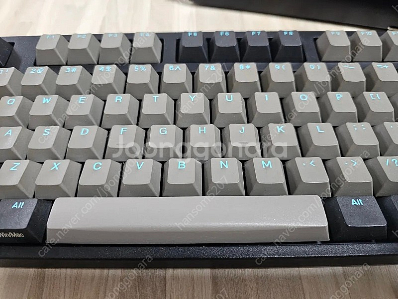 레오폴드 FC900R PD 그라파이트 청축--1