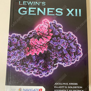 Lewin’s genes XII