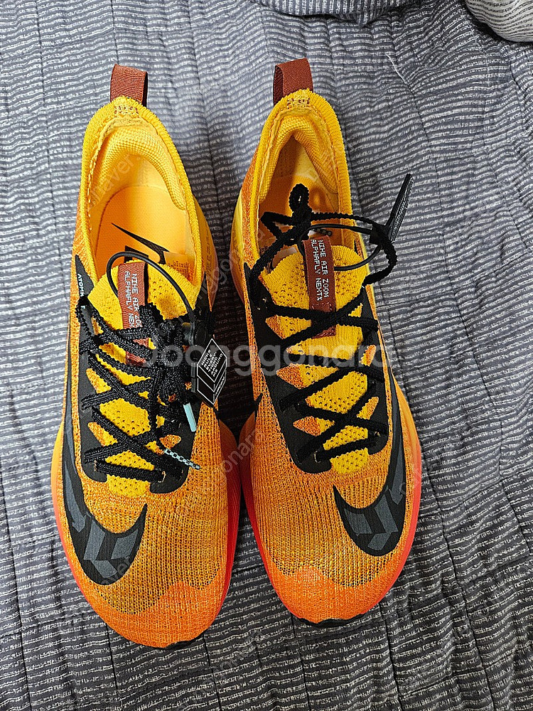 알파플라이1 260--0