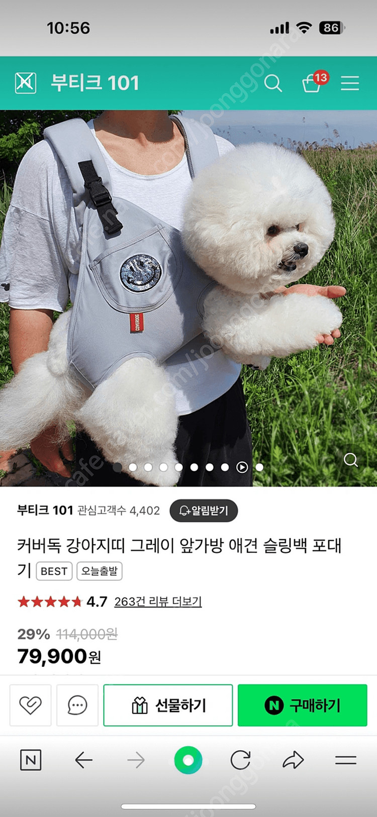 강아지 이동가방 슬링백 아기띠 앞가방 포대기--1