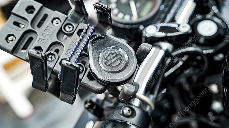 할리 데이비슨 포티에잇 팝니다. 1250->1200 이미지