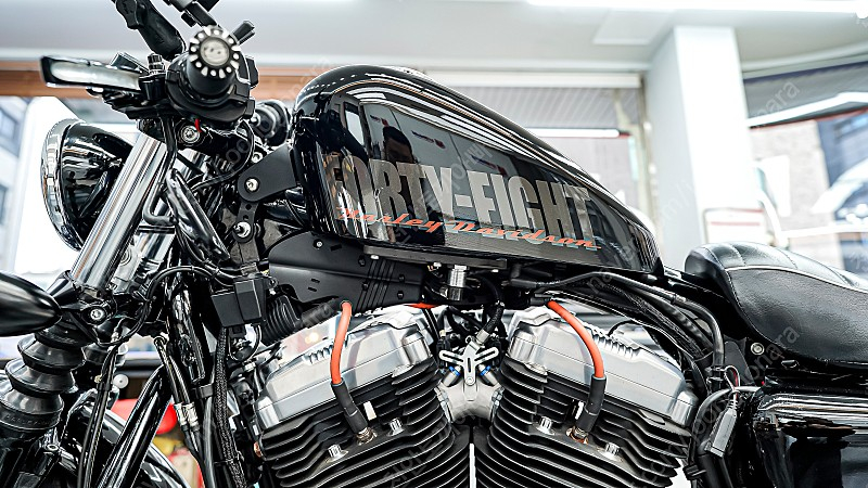 할리 데이비슨 포티에잇 팝니다. 1250->1200 이미지