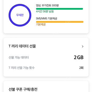 skt 데이터 2gb