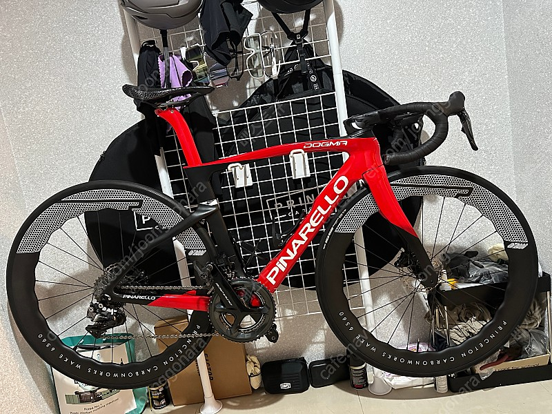 도그마 f 팝니다.--1