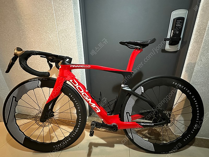 도그마 f 팝니다.--5