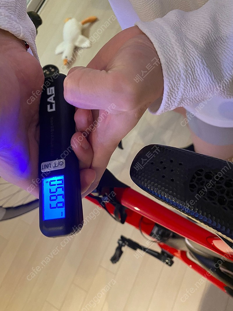 도그마 f 팝니다.--6