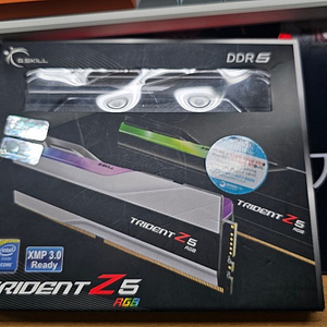 DDR5 트라이던트 Z5 RGB 6000hz 16x2 = 32GB