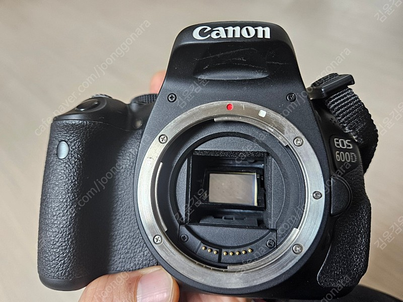 캐논 600d 이미지
