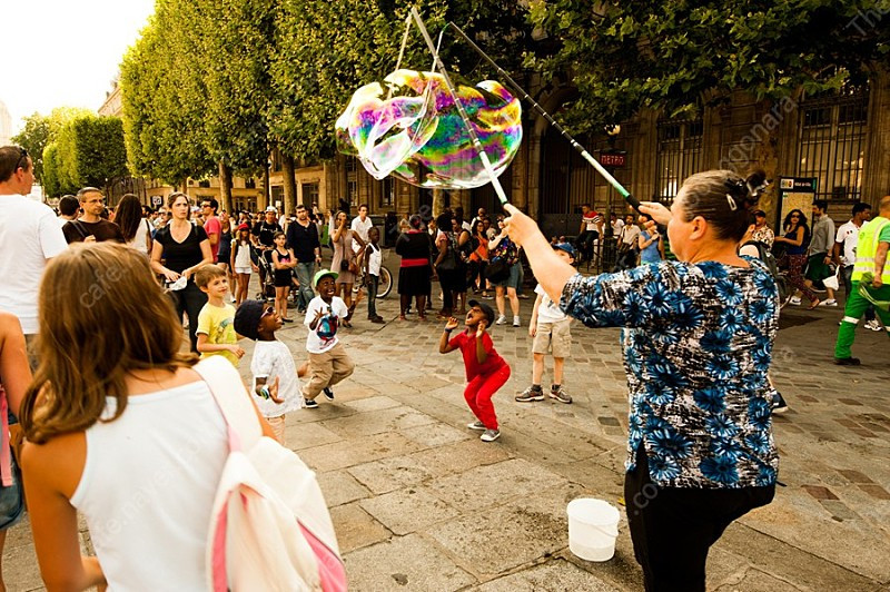 니콘 D800, 16-35N, 24-70N, 105N 일괄판매 이미지