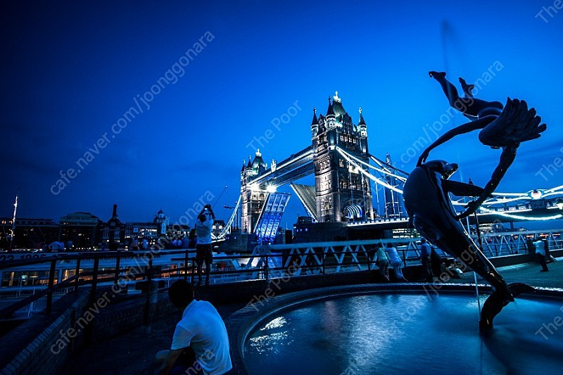 니콘 D800, 16-35N, 24-70N, 105N 일괄판매 이미지