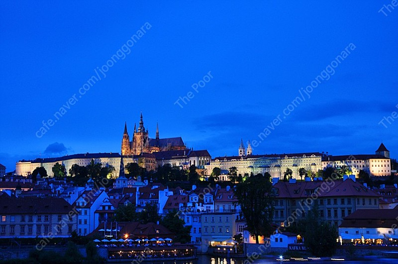 니콘 D800, 16-35N, 24-70N, 105N 일괄판매 이미지