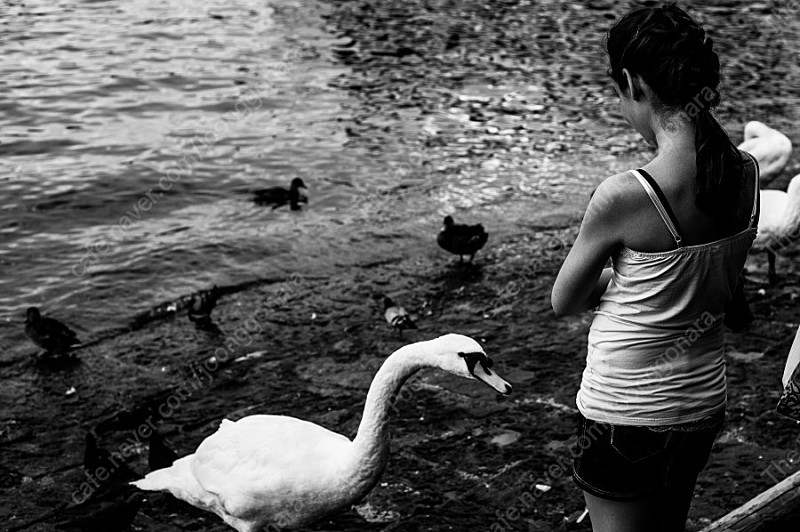 니콘 D800, 16-35N, 24-70N, 105N 일괄판매 이미지