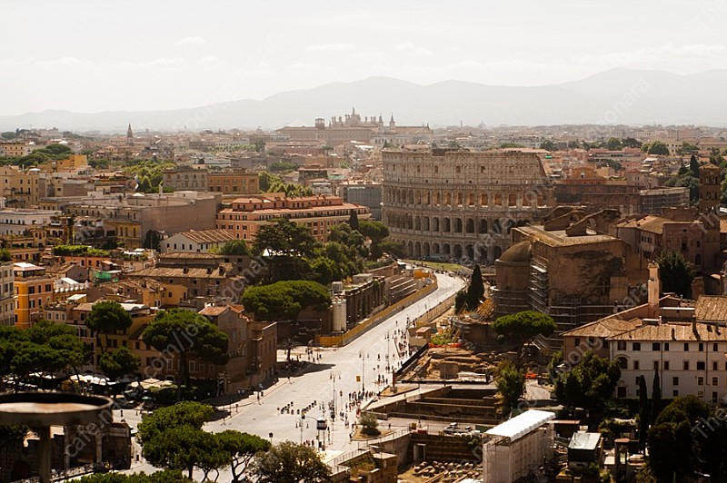 니콘 D800, 16-35N, 24-70N, 105N 일괄판매 이미지