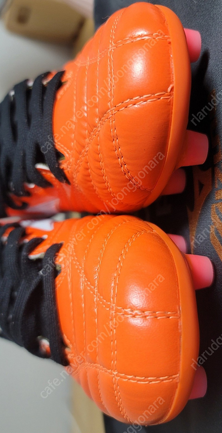 (풀박새제품)모렐리아 네오2 JP, 260판매 이미지