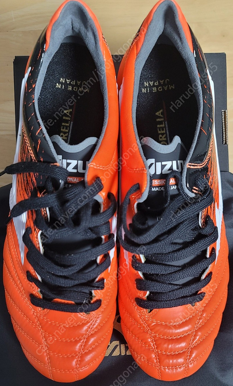 (풀박새제품)모렐리아 네오2 JP, 260판매 이미지