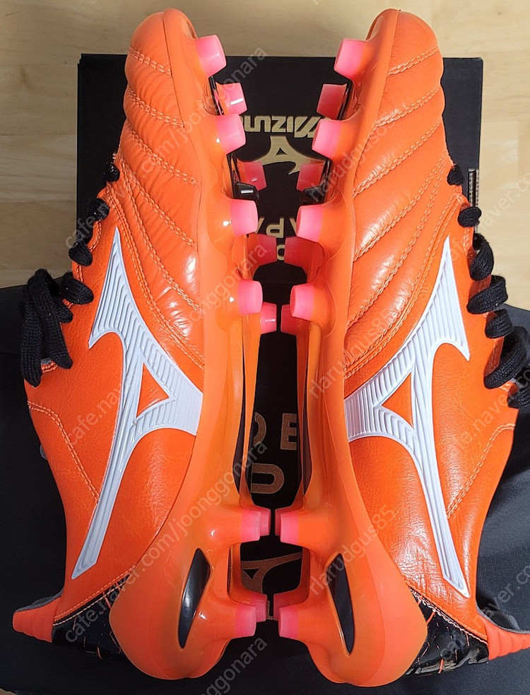 (풀박새제품)모렐리아 네오2 JP, 260판매 이미지