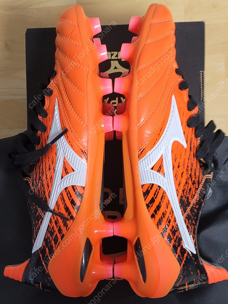 (풀박새제품)모렐리아 네오2 JP, 260판매 이미지