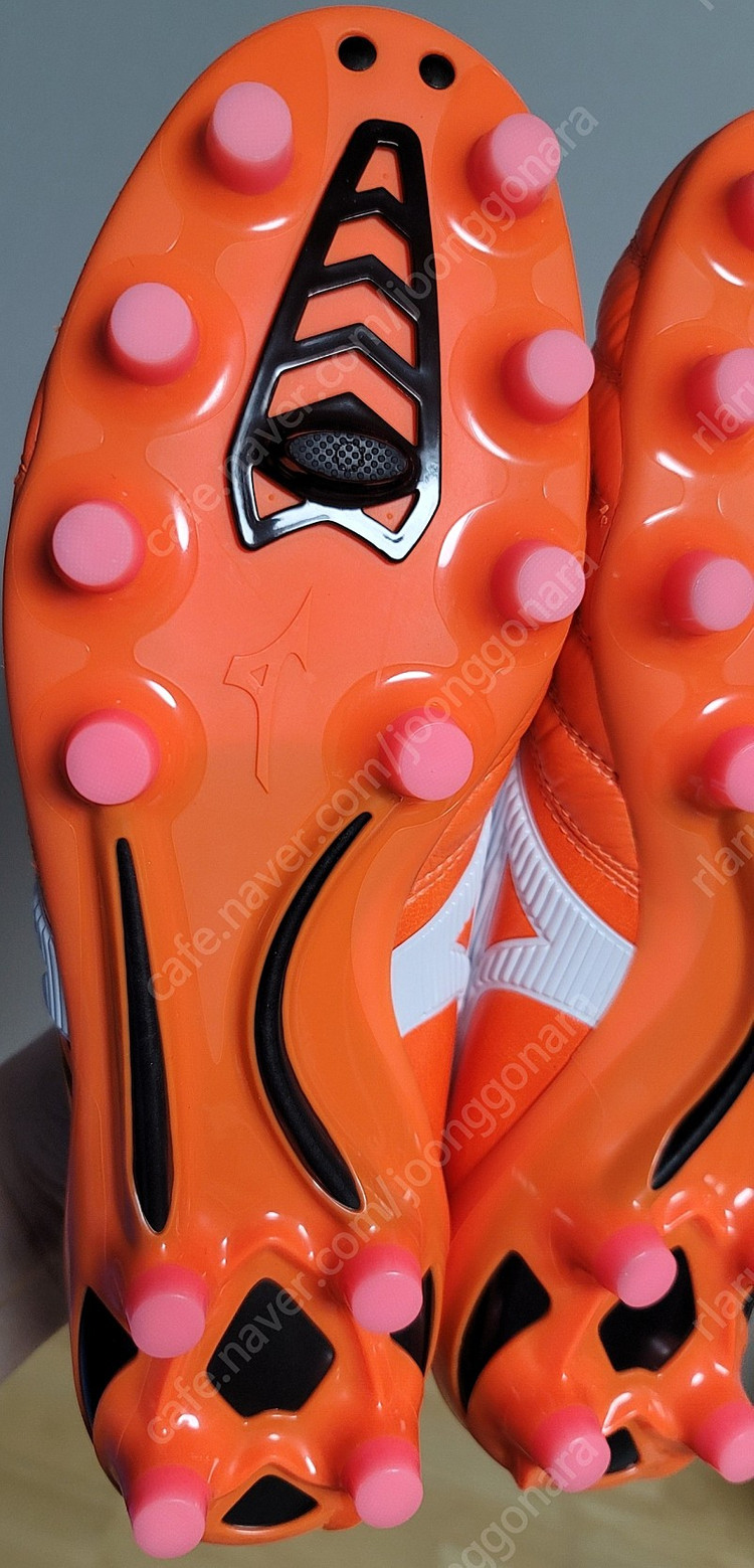 (풀박새제품)모렐리아 네오2 JP, 260판매 이미지