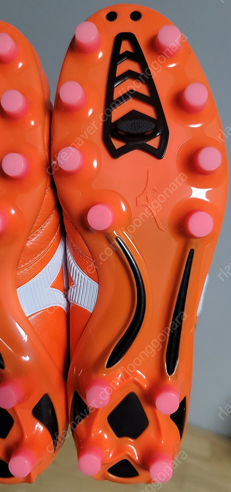 (풀박새제품)모렐리아 네오2 JP, 260판매 이미지