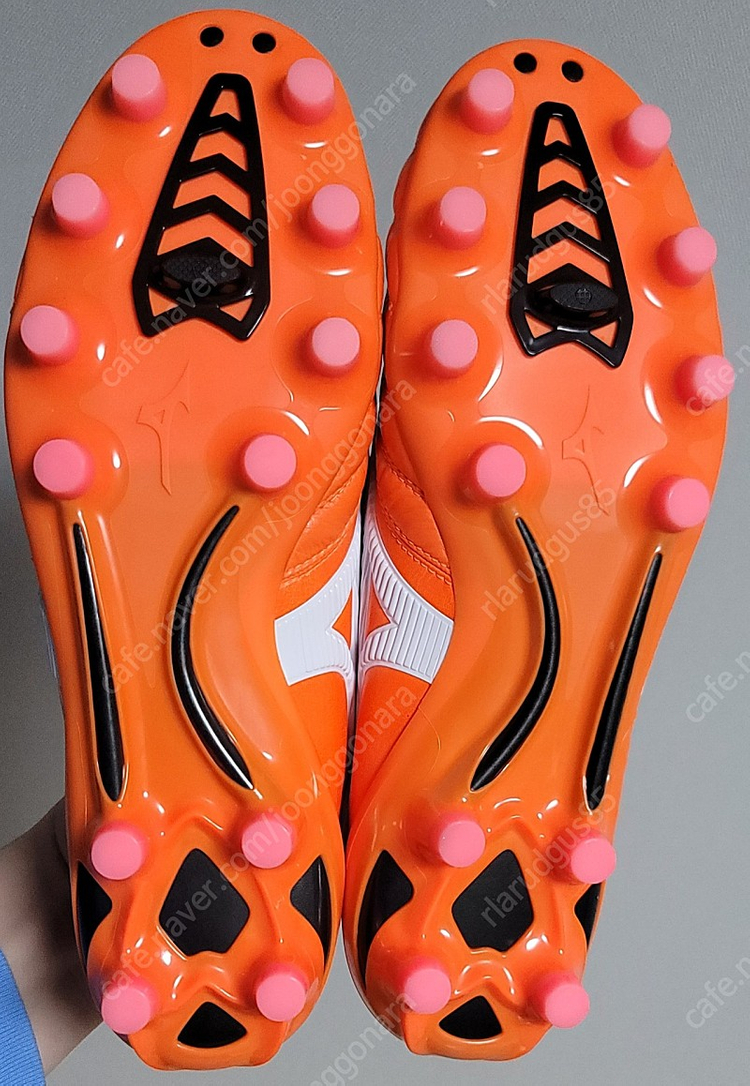 (풀박새제품)모렐리아 네오2 JP, 260판매 이미지