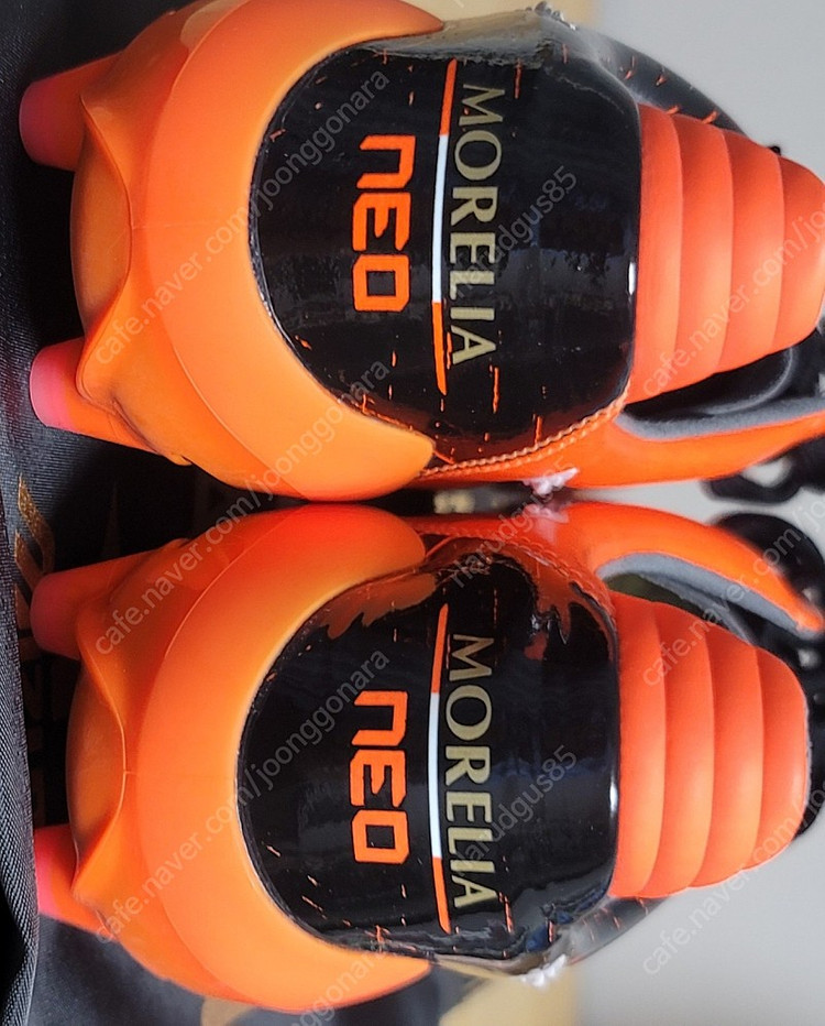 (풀박새제품)모렐리아 네오2 JP, 260판매 이미지