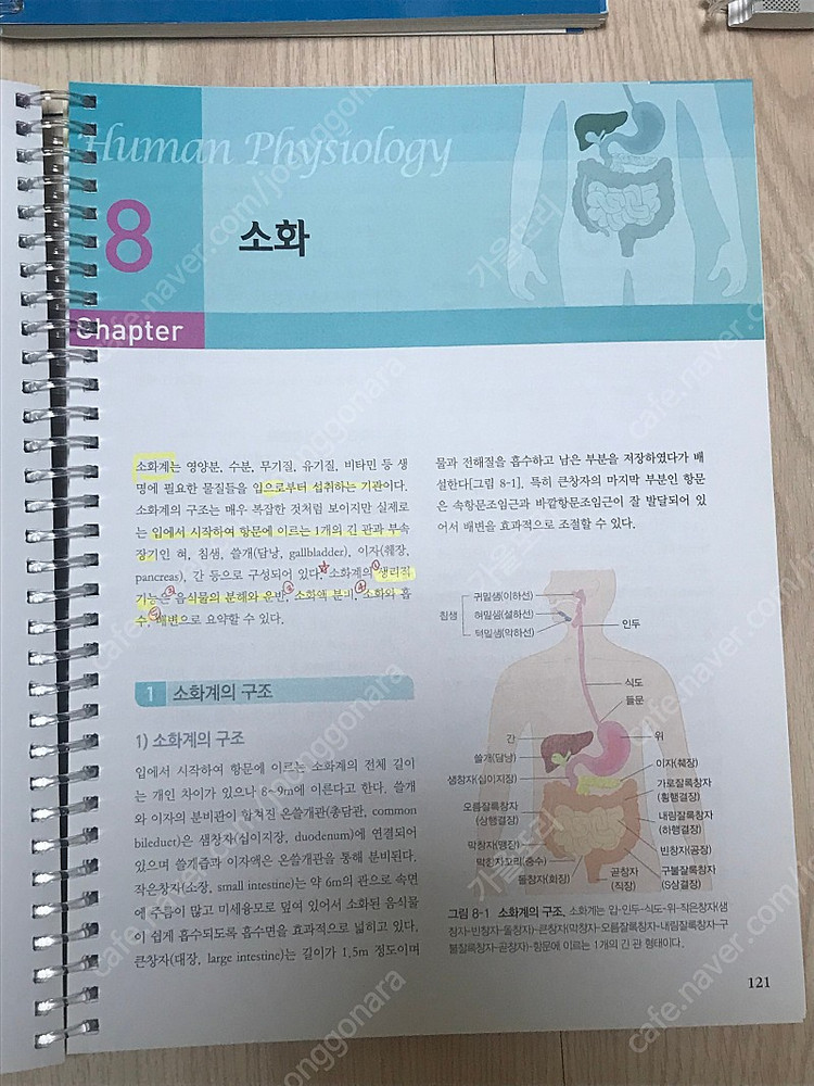 알기 쉬운 인체생리학(고문사) 택포 15,000원 이미지