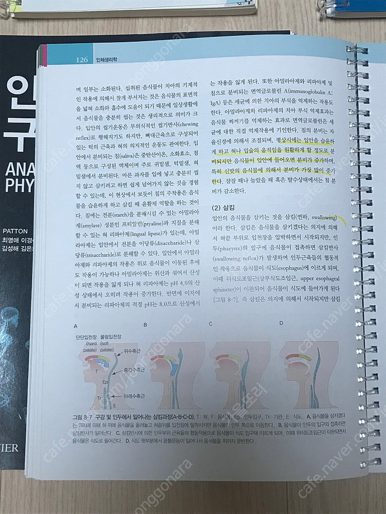 알기 쉬운 인체생리학(고문사) 택포 15,000원 이미지