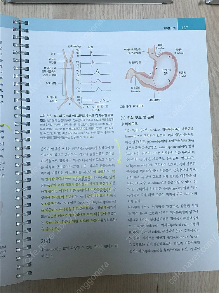 알기 쉬운 인체생리학(고문사) 택포 15,000원 이미지