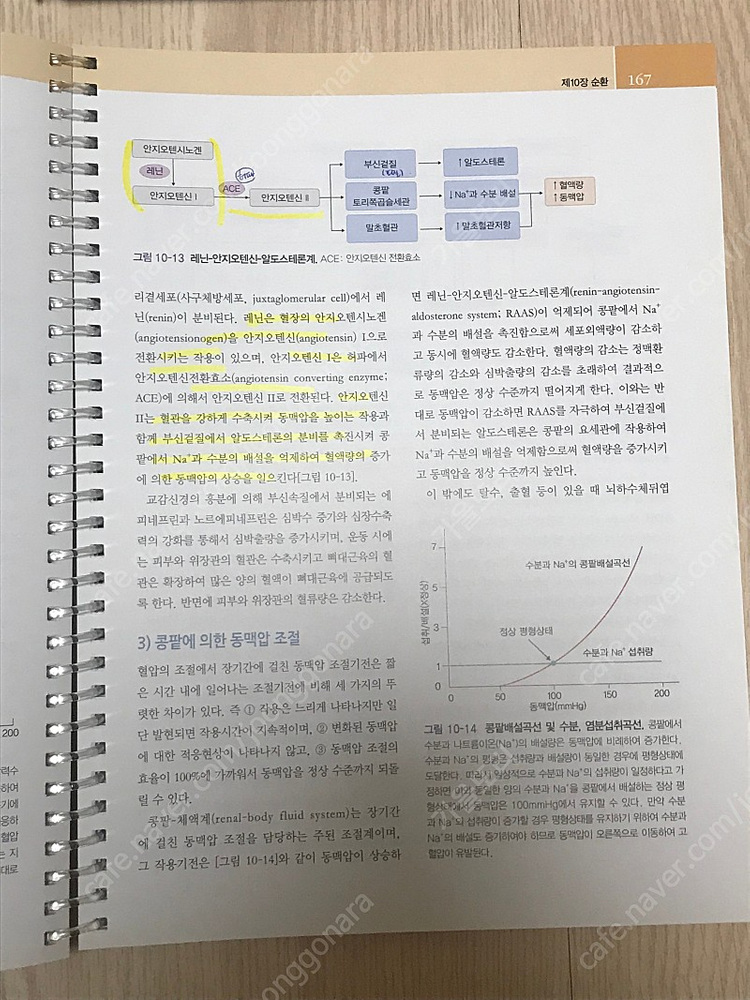 알기 쉬운 인체생리학(고문사) 택포 15,000원 이미지