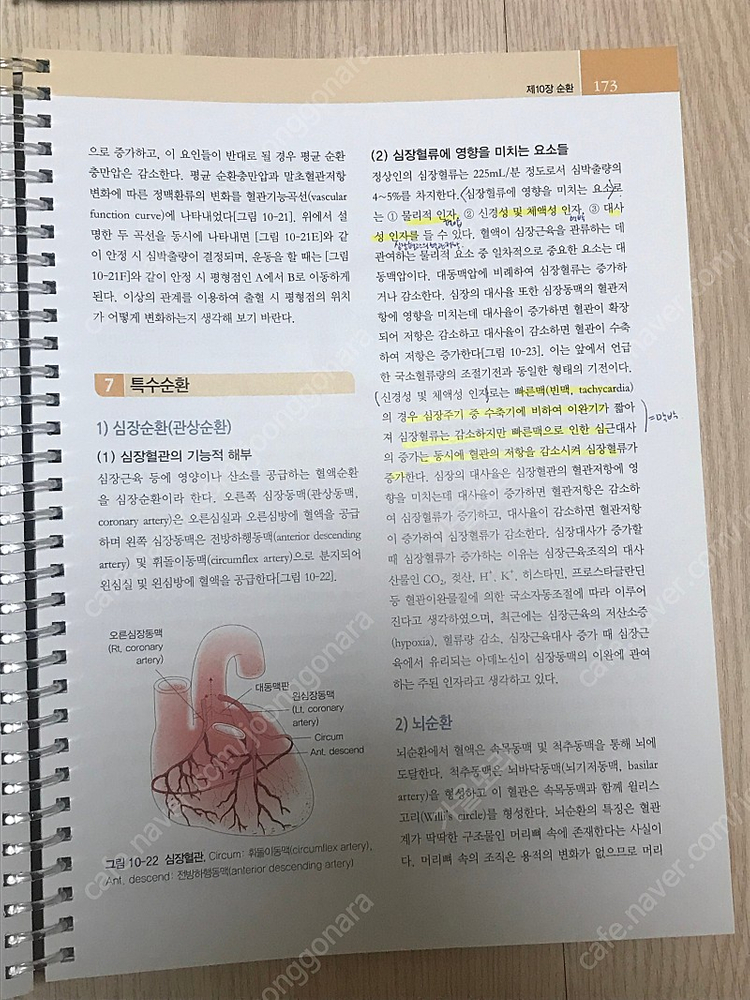 알기 쉬운 인체생리학(고문사) 택포 15,000원 이미지