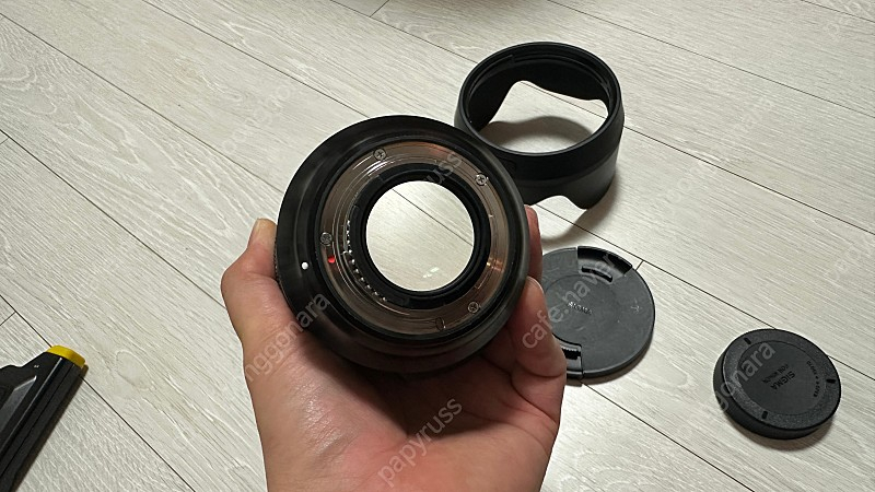 니콘 d850, 시그마40mm 팝니다. 이미지