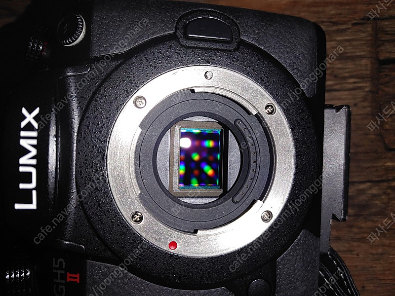 파나소닉 GH5m2 바디 이미지