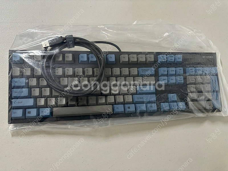 리얼포스 R2 그레이/블루 45g 균등 저소음 (영문)--0