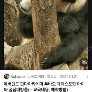 푸바오 큐패스 삽니다