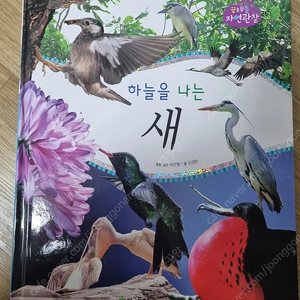 한국톨스토이 꿈틀꿈틀 자연관찰 84권