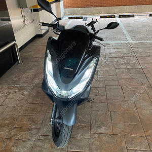 pcx 125cc 120km탄거 판매합니다.