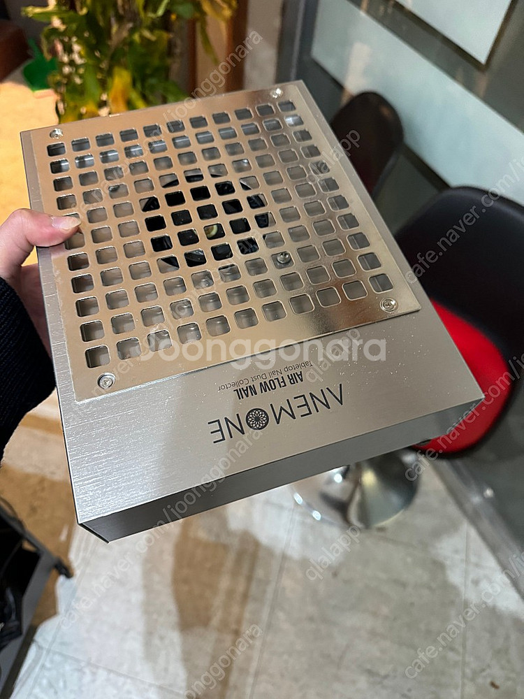 아네모네 흡진기--0