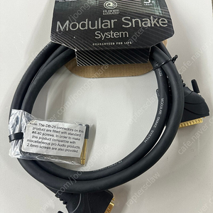 D'Addario DB25 Modular Snake System 5 foot(1.52m) 케이블 판매합니다.