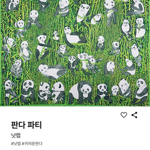 러쉬 낫랩 판다파티