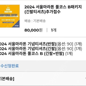 2024 서울마라톤 동아마라톤 동마 풀코스 B패키지 A그룹 출발