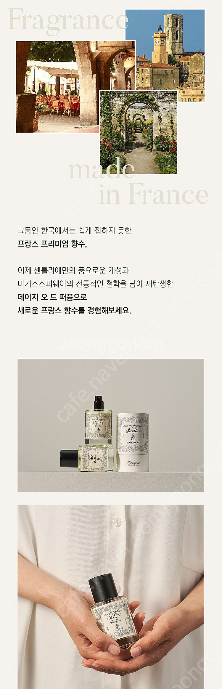 센틀리에X마커스스퍼웨이 데이지 오 드 퍼퓸--2