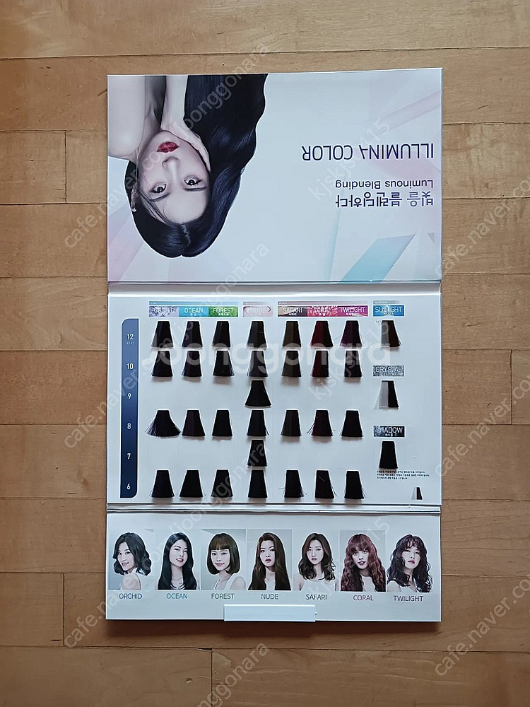 웰라 염색 차트 70,000원--0