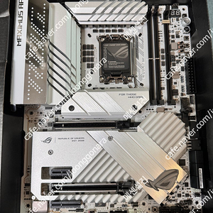 asus z790 apex 판매