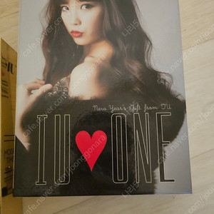 아이유 일본활동 DVD