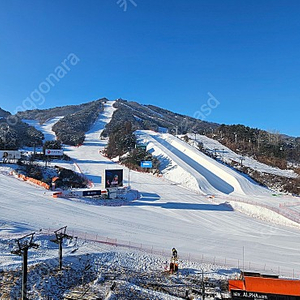 오늘(2/29) 지산스키장 리프트권 구매 합니다